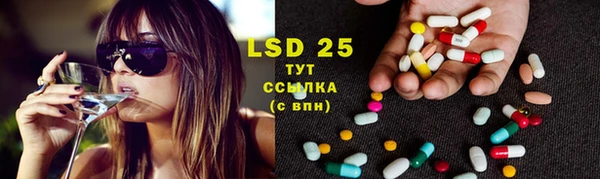 ECSTASY Белокуриха