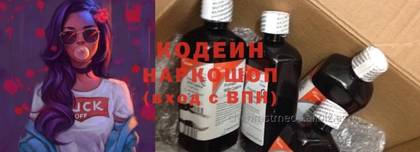 ECSTASY Белокуриха