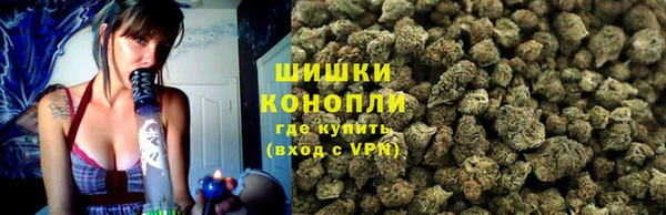 ECSTASY Белокуриха