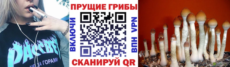 что такое наркотик  Реутов  Псилоцибиновые грибы мухоморы 